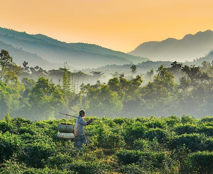 Sylhet