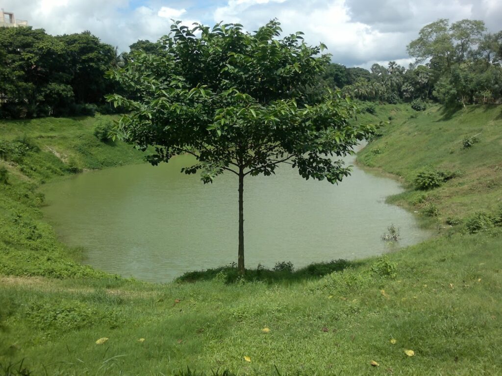 Gulshan Society Lake Park