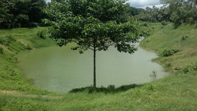 Gulshan Society Lake Park
